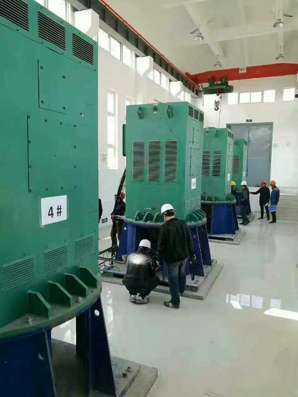 淅川某污水处理厂使用我厂的立式高压电机安装现场
